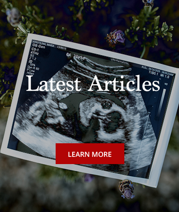 Latest Articles