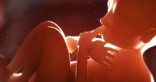 New Poll Shows Majority of Americans Say Unborn Babies Have Rights