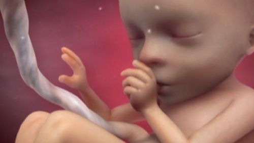 BREAKING: Florida Judge Blocks 15-Week Abortion Ban DeSantis Signed to Save Babies From Abortions