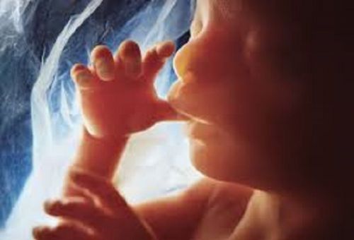 Abortion Rate Drops 20% Since 2011 as More Babies are Saved From Abortions
