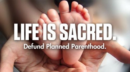 After Florida Defunds Planned Parenthood, Abortion Biz Will Lose $500,000